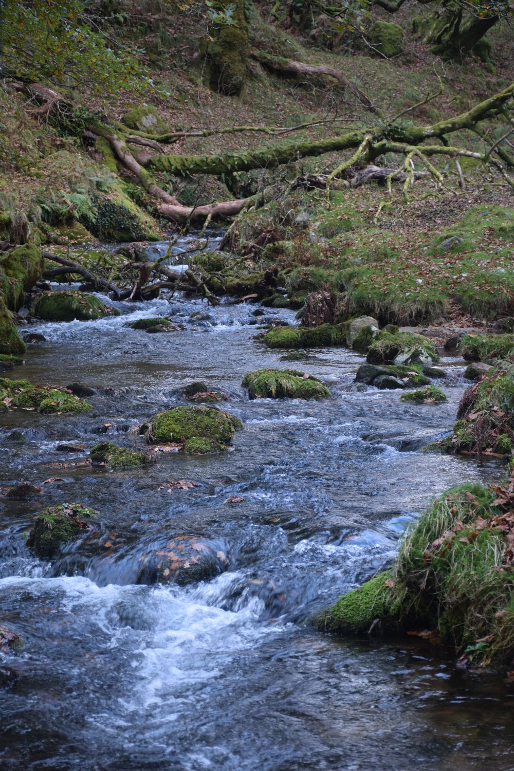 Small Cascade