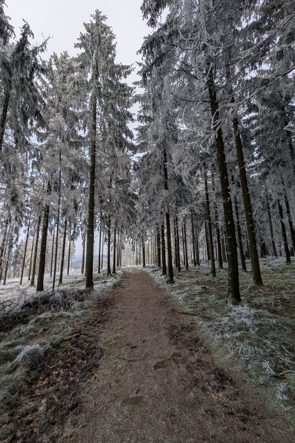 Almost Winter