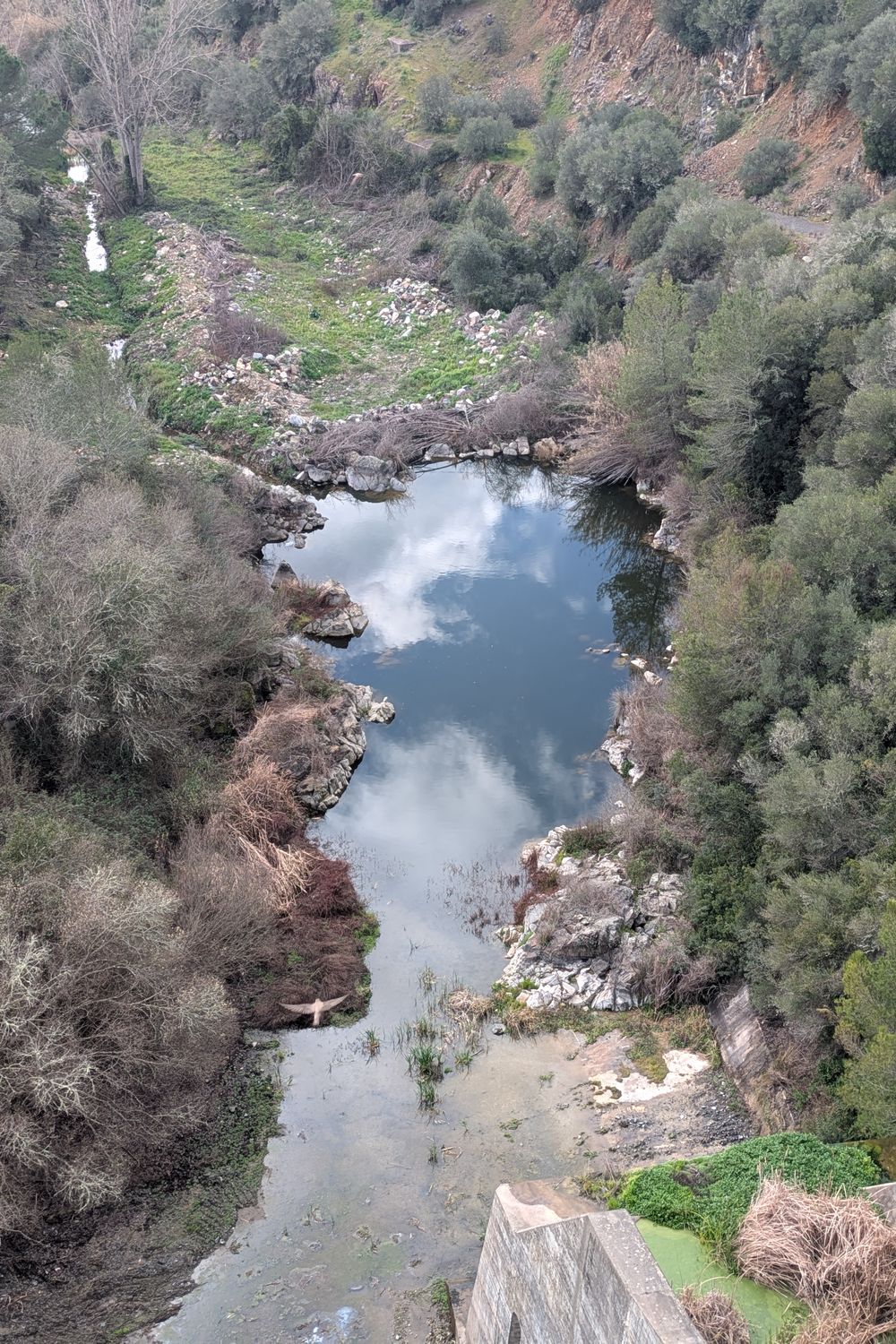 View from the Dam